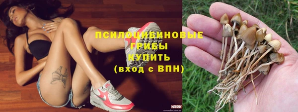 ПСИЛОЦИБИНОВЫЕ ГРИБЫ Протвино